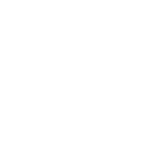 Play Store Icon